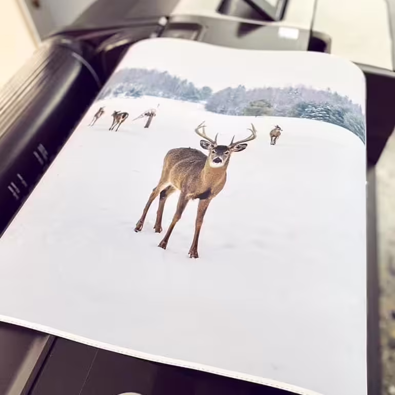 Αφίσες Γιγαντοαφίσες