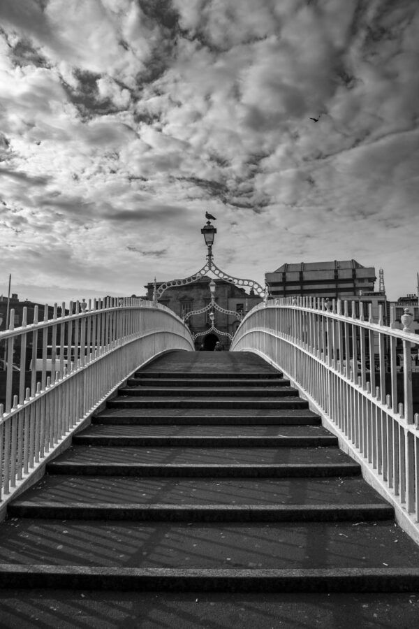 The bridge