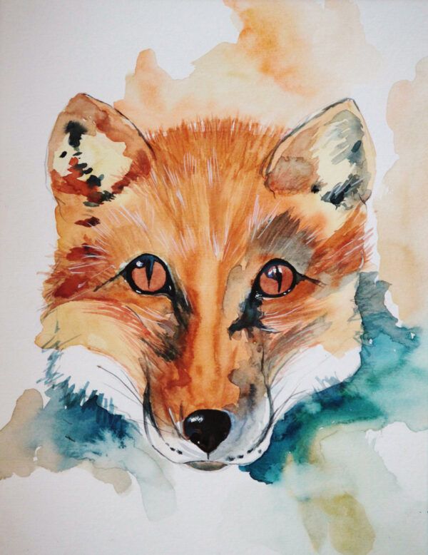 The fox