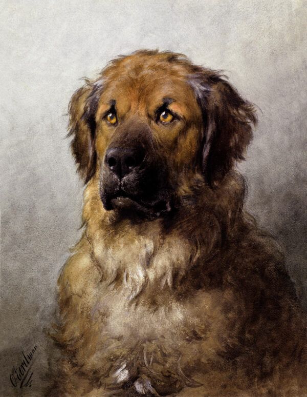 The dog