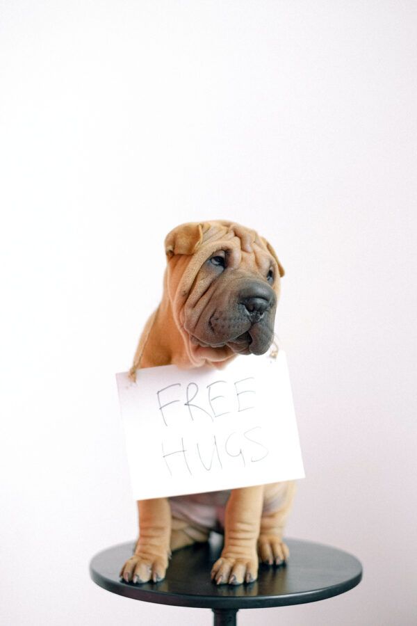 Free hugs
