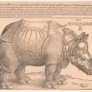 Rhinocervs