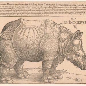 Rhinocervs