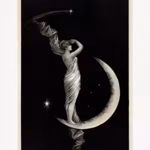 The univrsal favorite