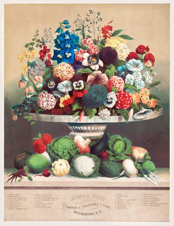 The flowers