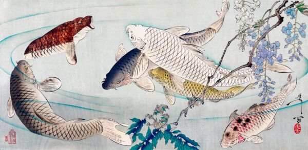 Lucky fish
