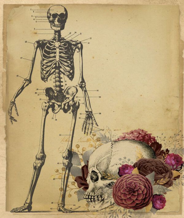 The skull with flowers