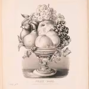 Fruit vase