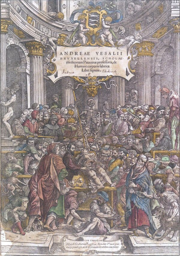 Andre ae Vesalii