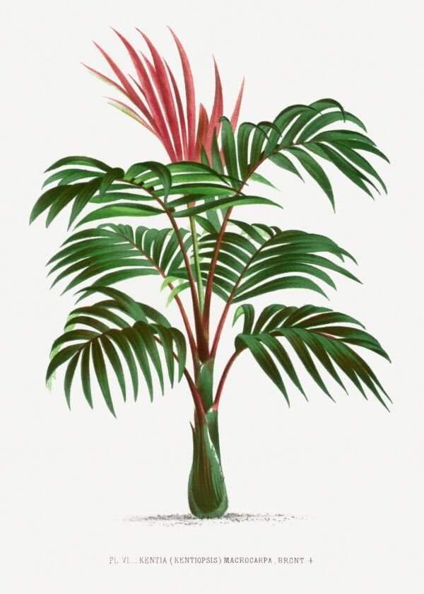 The tree