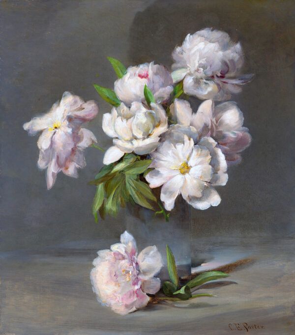 Purple flowers