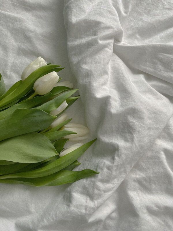 Mornign flowers