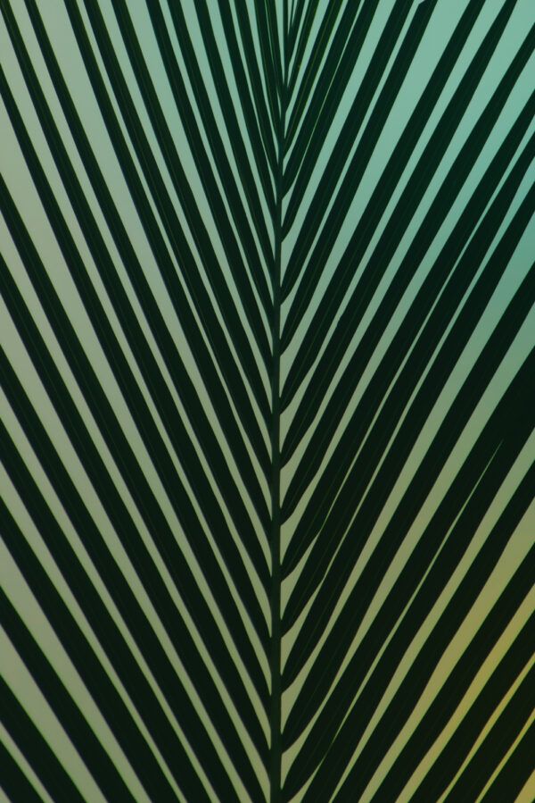 Green art