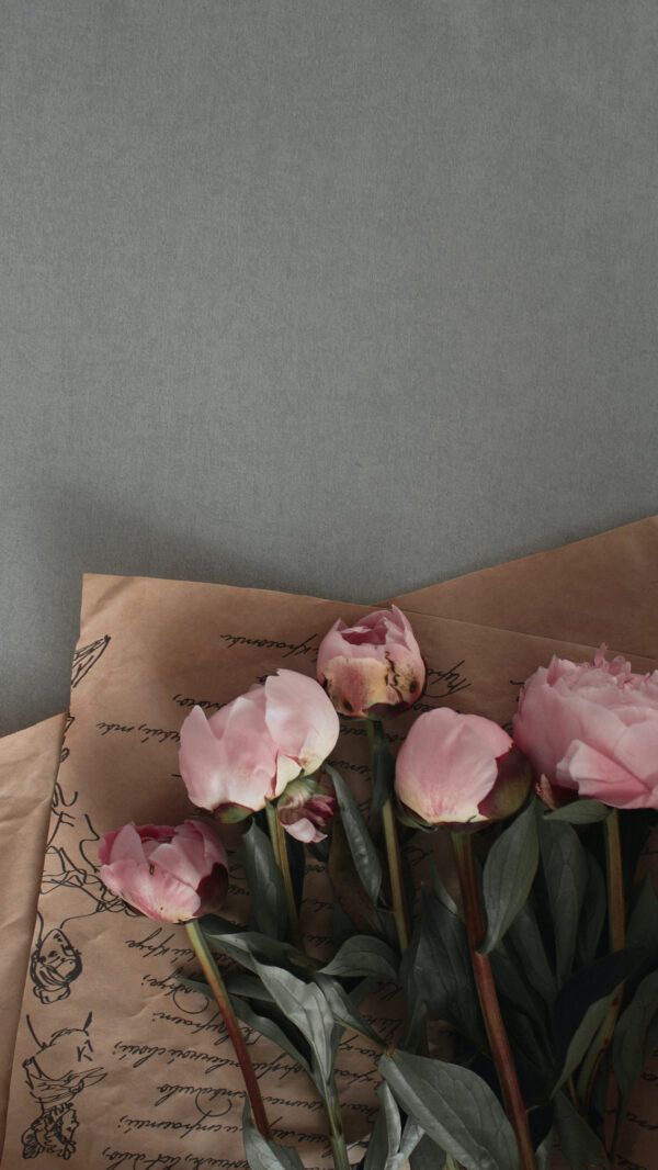 Pink roses