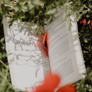 Petals and book