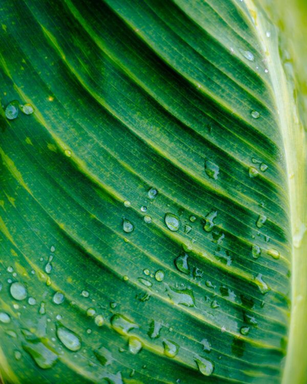 Rainy day
