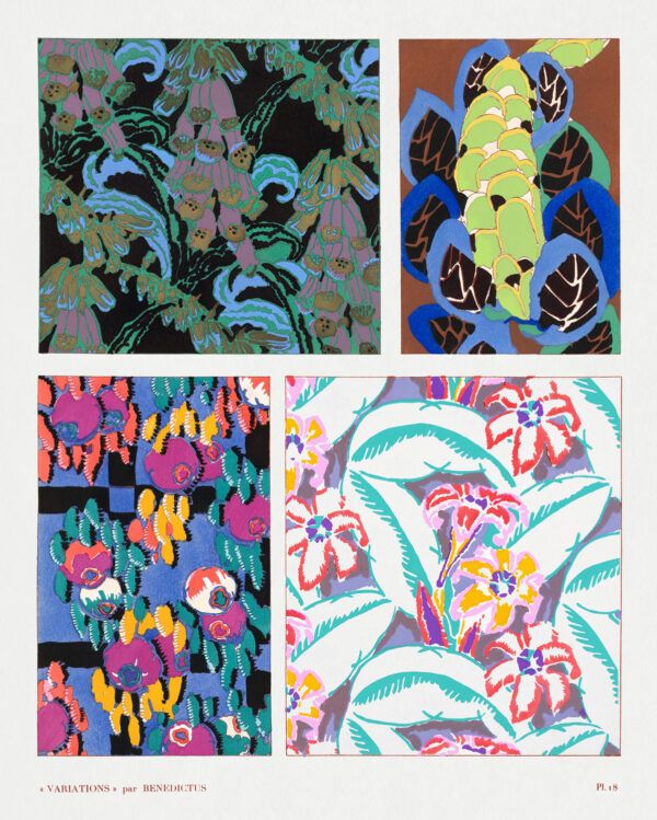 Colors and flowers