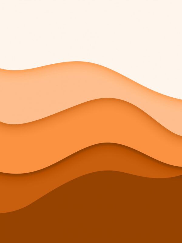 Illustrator