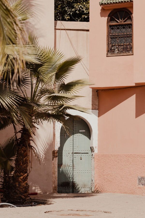The door