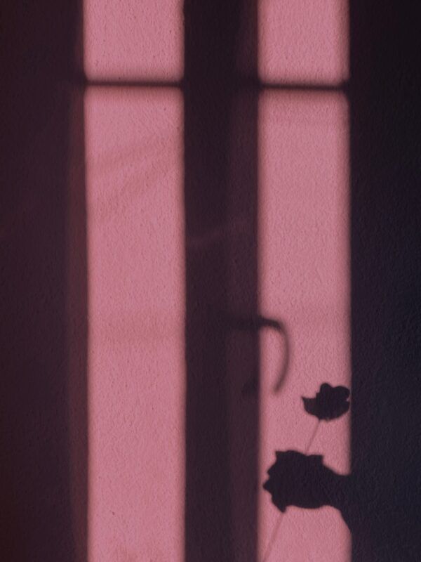 Shadow