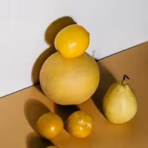 Lemon art