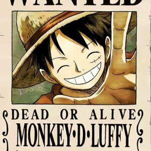One piece Luffy