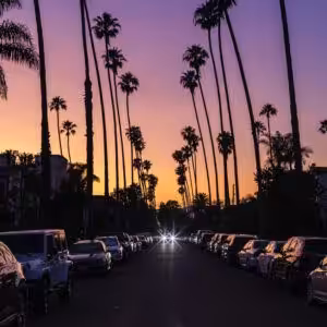 City in the afternoon