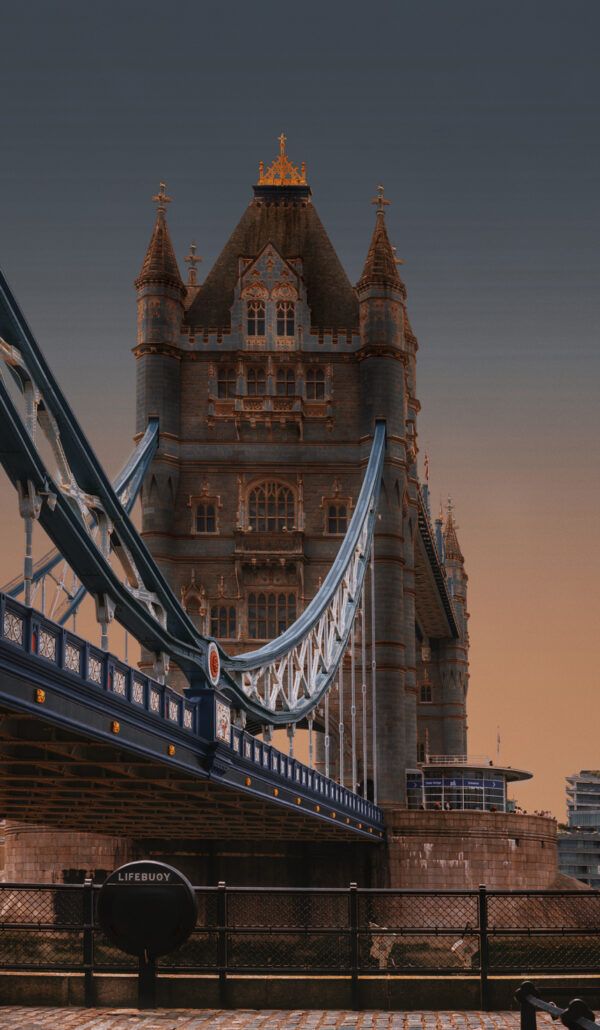 The bridge