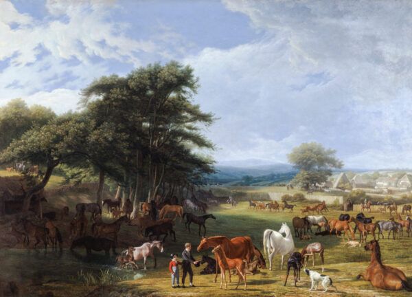 Farm