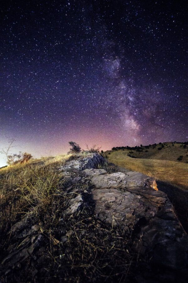 Nature by night