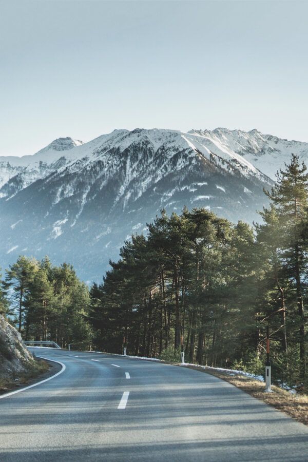 Road with trees