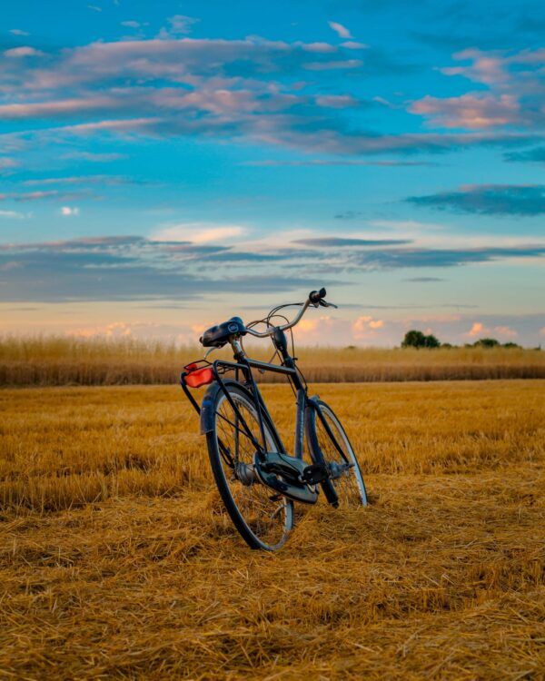 The bike