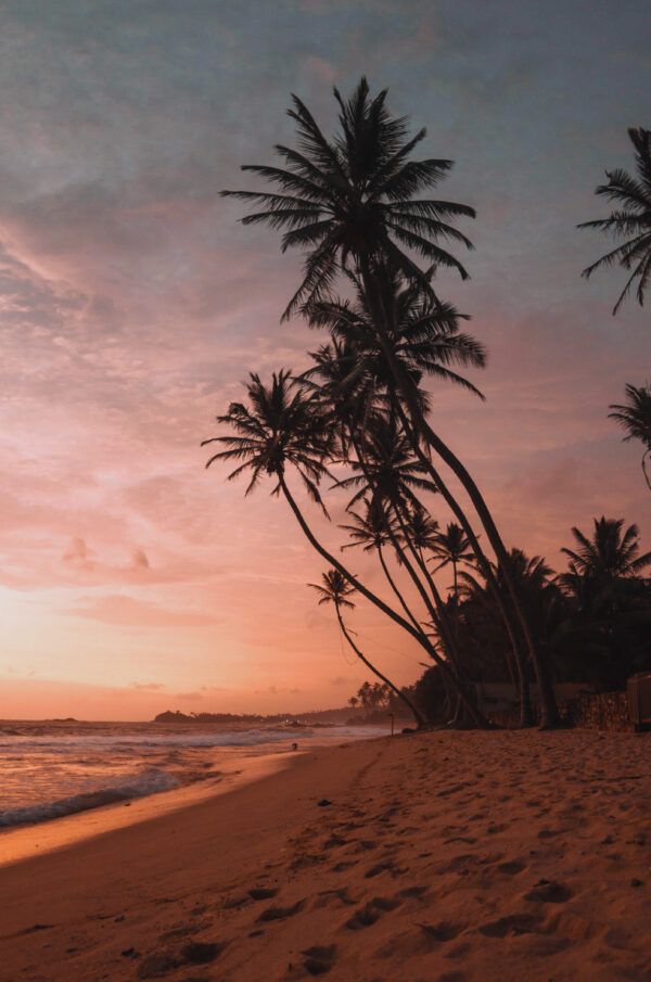 The beach