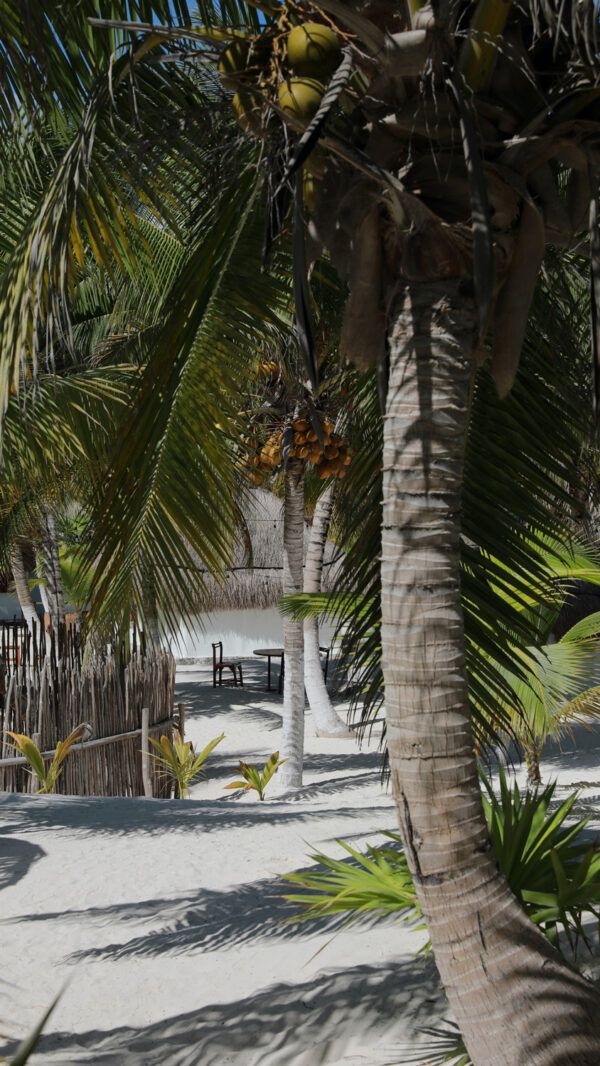 Beach view