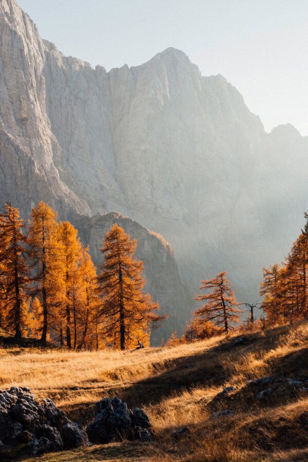 Autumn nature
