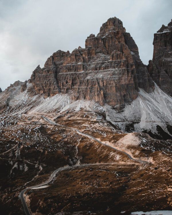 Wild nature