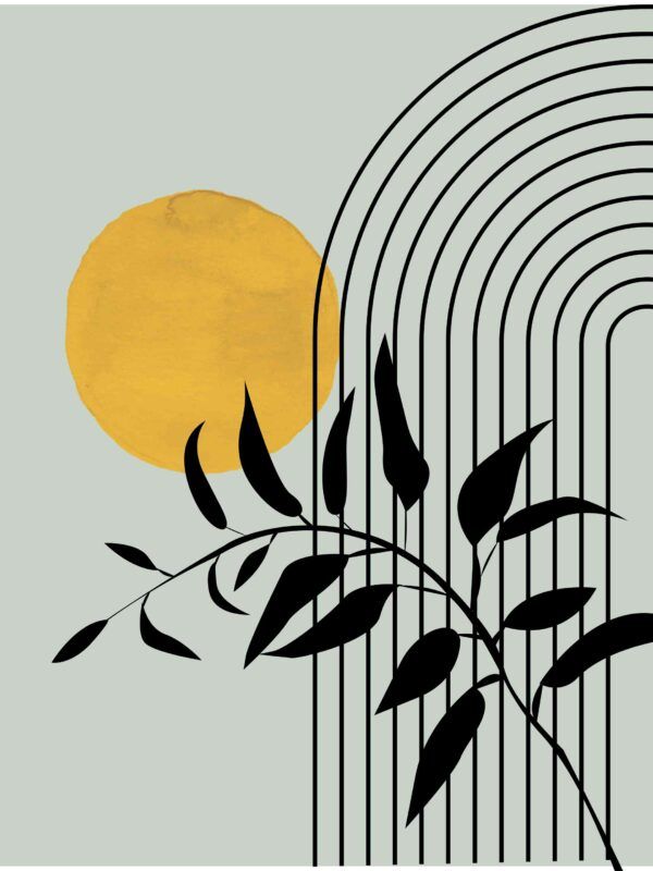 The sun